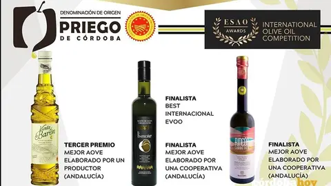 Aceites de la DO Priego de C&oacute;rdoba premiados
