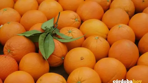 Naranjas