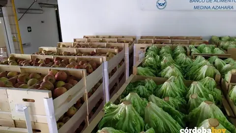 Banco de Alimentos