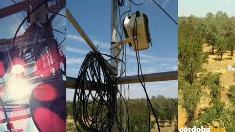 Proyecto internacional sobre uso de agua en la dehesa