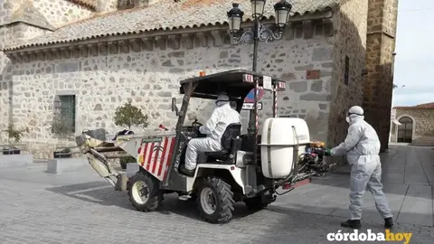 Desinfecciones en Dos Torres