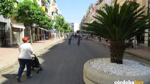Macet&oacute;n que delimita los puntos peatonales en la Vi&ntilde;uela