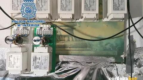 Manipulaci&oacute;n el&eacute;ctrica para plantaciones de marihuana indoor en Las Margaritas