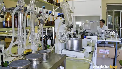 Investigaci&oacute;n en el Ifapa