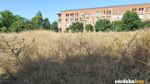 Pastos en torno a Las Moreras de donde pueden proceder las garrapatas