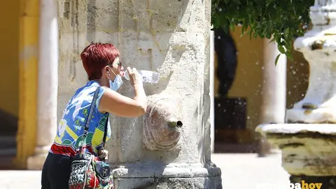 Calor 11