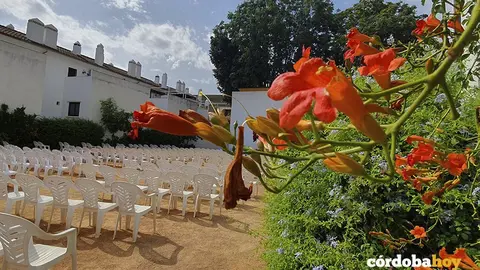 Cine de verano Fuenseca