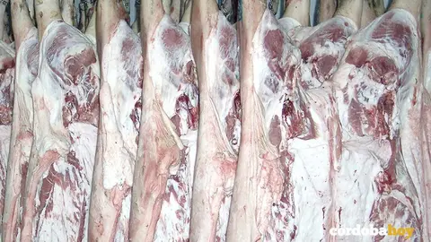 Carne de cerdo preparada para la venta