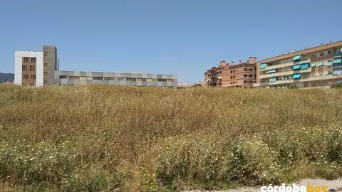 Descampado de Crist&oacute;bal de Mesa a finales de mayo de 2020