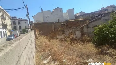 Los terrenos de Costanillas-Hornillo