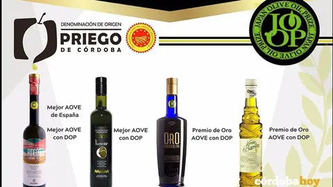 Los cuatro aceites prieguenses premiados en Jap&oacute;n