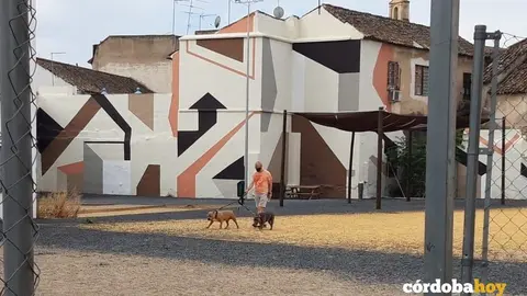 Un hombre pasea a sus perros en el solar del antiguo Cine Andaluc&iacute;a