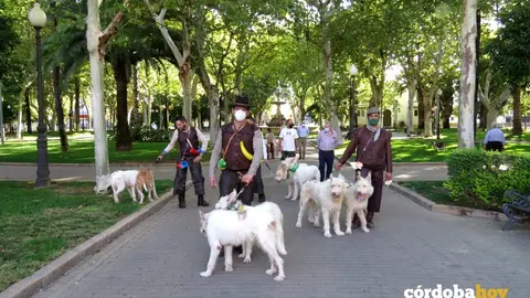 Las colleras de podencos en los jardines de Col&oacute;n