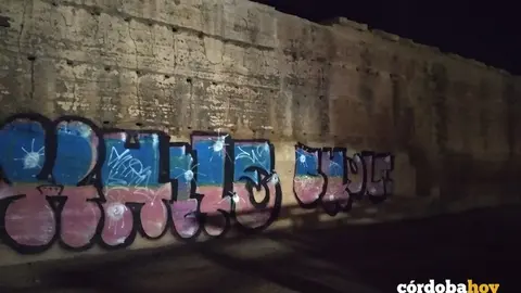 Pintada en la muralla del Marrubial
