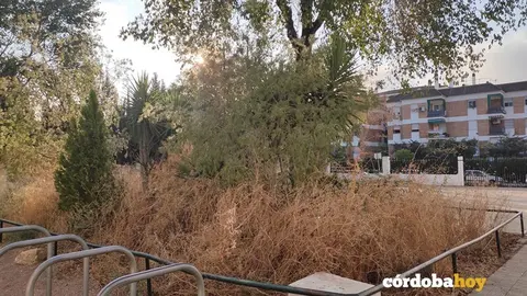 Entrada llena de maleza al CEIP Averroes