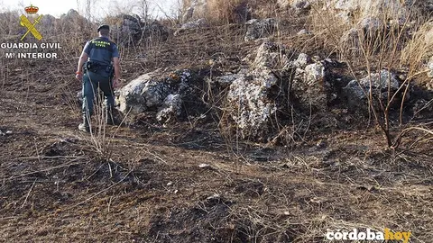 Un agente del Seprona contempla los efectos del incendio forestal