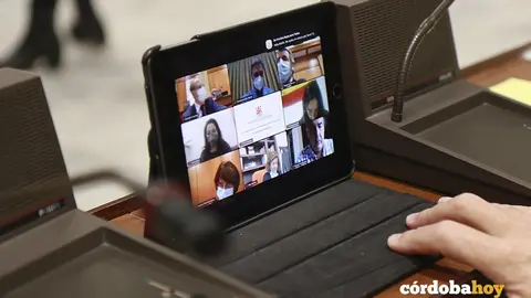 Pleno telem&aacute;tico de C&oacute;rdoba de noviembre