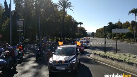 Manifestaci&oacute;n en coche por la concertada 3