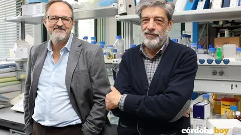 Guillermo L&oacute;pez lluch y Pl&aacute;cido Navas