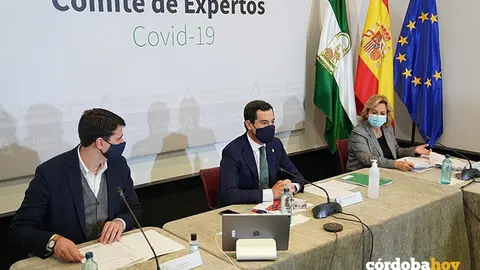 Comit&eacute; de Expertos