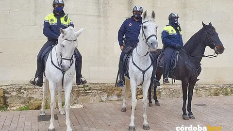Agentes de la Polic&iacute;a Local de C&oacute;rdoba a caballo