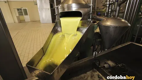 Aceite de oliva virgen extra (AOVE)