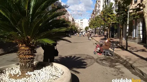 Tramo peatonal en Jes&uacute;s Rescatado de La Vi&ntilde;uela