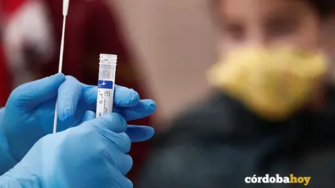 Test de ant&iacute;genos