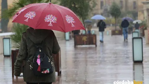 Lluvia en la capital