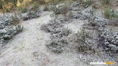 Helada en la Sierra de C&oacute;rdoba