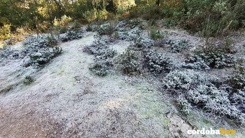 Helada en la Sierra de C&oacute;rdoba