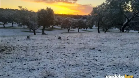 Amanecer con nieve en Carde&ntilde;a