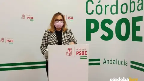 Mar&iacute;a &Aacute;ngeles Luna, senadora del PSOE