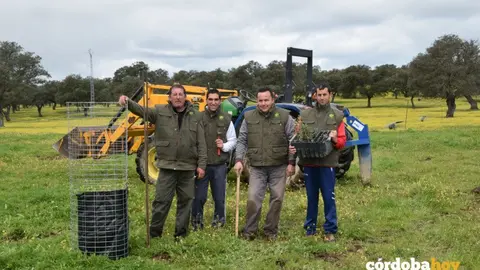 Plantaci&oacute;n de encinas en una edici&oacute;n de el 'Dehesaf&iacute;o'