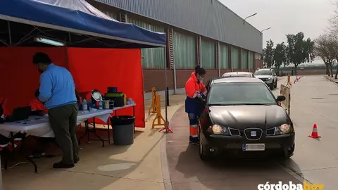Carpa instalada en Palma del R&iacute;o