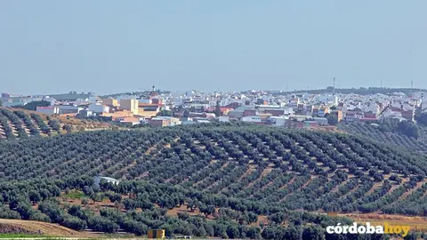 Montalb&aacute;n de C&oacute;rdoba