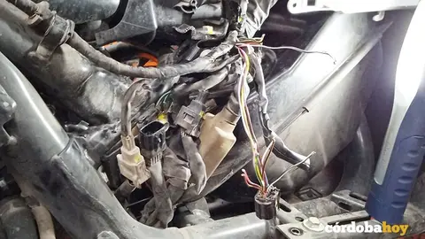 Interior de la moto donde hab&iacute;a anidado la rata