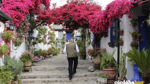 Marroqu&iacute;es, 6 en el Concurso de 2021