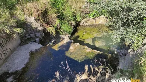 Aguas fecales estancadas a orillas del Guadalquivir