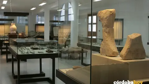 El Museo Arqueol&oacute;gico de Do&ntilde;a Menc&iacute;a