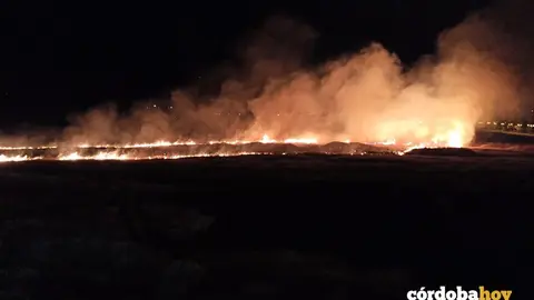 El segundo incendio de pastos en Miralbaida en diez d&iacute;as