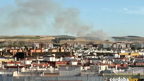 Columna de humo por un incendio de pastos en la N-432