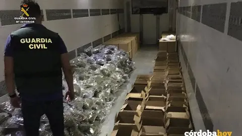 Operaci&oacute;n Santobal 2 de la Guardia Civil en Puente Genil