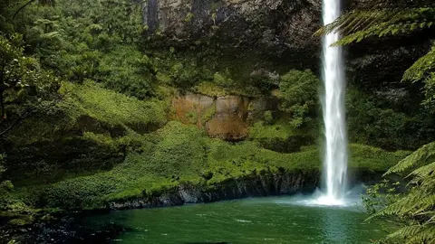  &iquest;Es seguro viajar a Nueva Zelanda todav&iacute;a en contexto de Covid-19? 