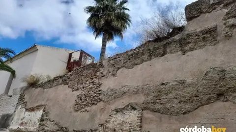Muralla de Palma del R&iacute;o