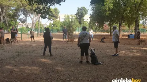Formadores de Sadeco