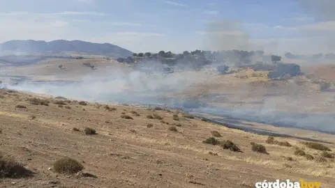 Incendio en la zona de Belalc&aacute;zar