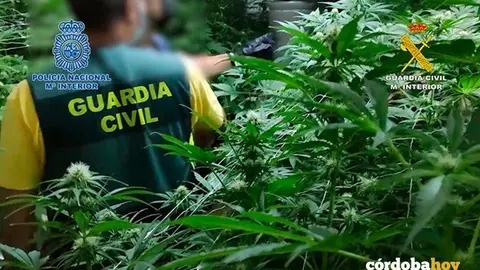 Imagen de la operaci&oacute; policial