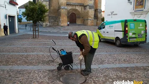 Control de plagas de Sadeco en C&oacute;rdoba
