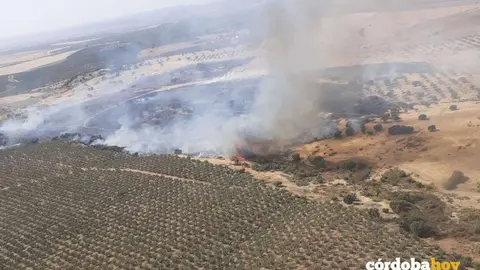 Incendio declarado en Guadalc&aacute;zar